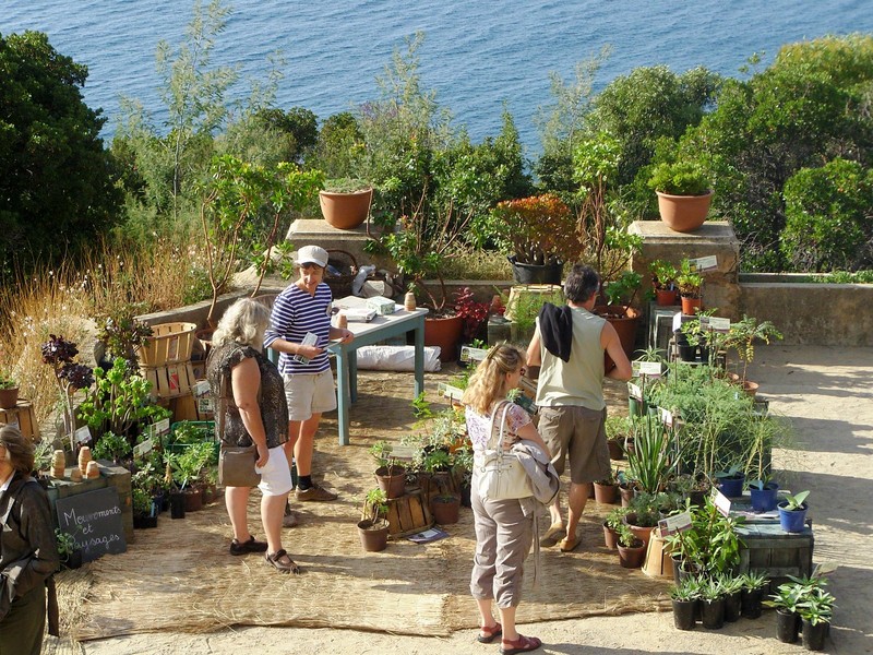 Gondwana-la-Fete-des-Plantes-mediteranee