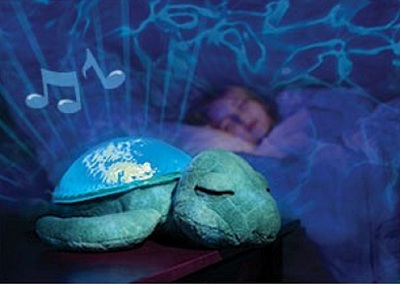Tranquil turtle