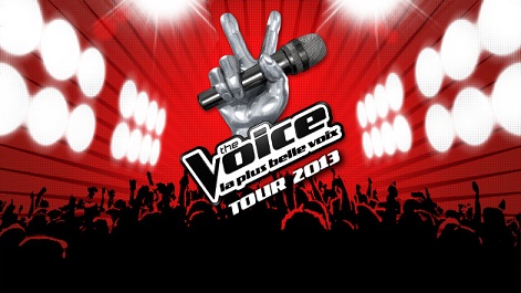 The Voice tour 2013