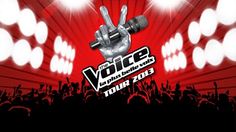 The Voice tour 2013