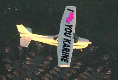 demande en mariage AVION