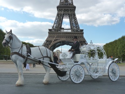 demande en mariage-CENDRILLON 2