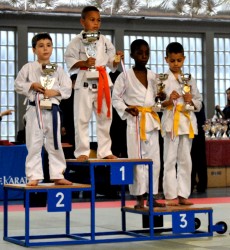 Palmarès du championnat de France de Karaté Kyokushinkaï