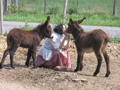 Laila with Donkeys