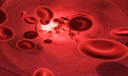3d image of the flow of blood inside an artery