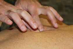Apprendre au corps à guérir et à rester en bonne santé