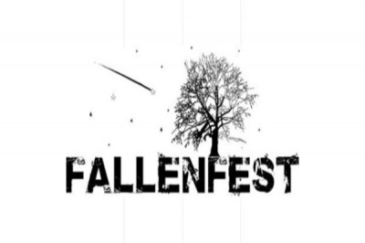 Finale du Fallenfest concert rock pop folk paris la cigale