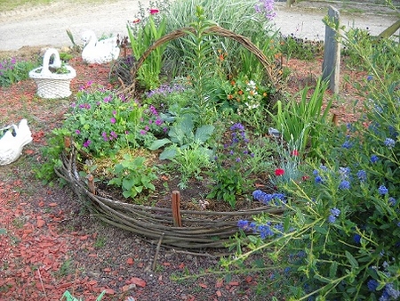 Concours Floralies Internationales 1