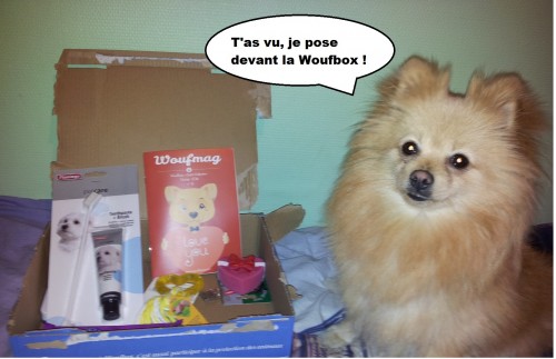 Heaven et la woufbox