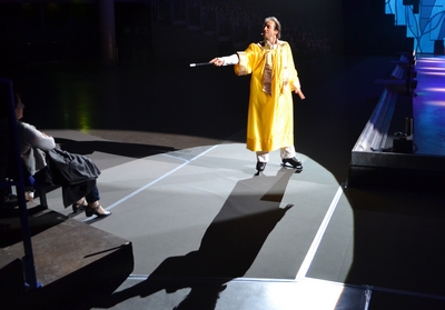 Holiday On Ice Nantes (4)