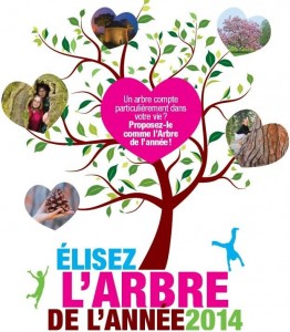 arbre