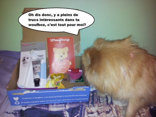 heaven et la woufbox 2