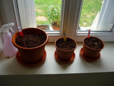 my city garden pot