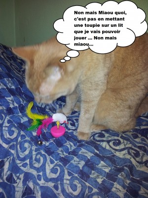 Caramel et la kitty box 2