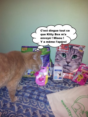 Caramel et la kitty box 3