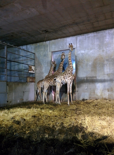 Planète Sauvage 2