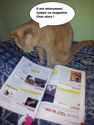 caramel et la kitty box 1