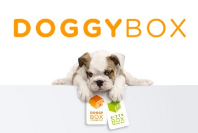 doggy box