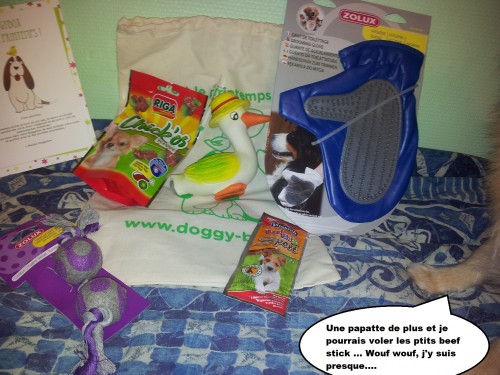heaven et la doggy box 2