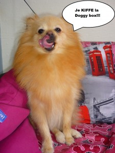 Heaven doggybox6