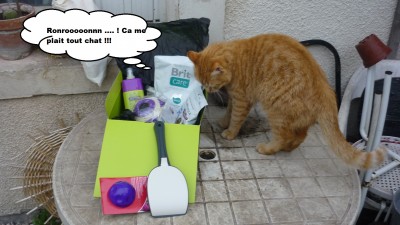fefe wanibox for cat 2