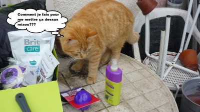 féfé wanibox for cat 3