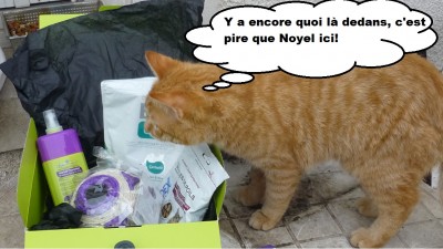 féfé wanibox for cat 4
