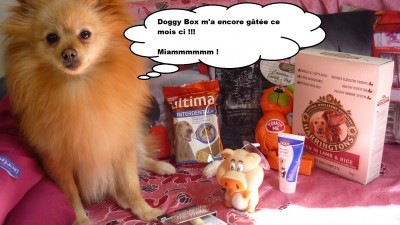heaven doggybox 1