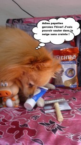 heaven doggybox 3