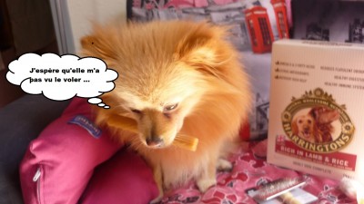 heaven doggybox5