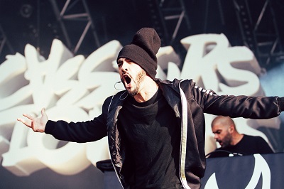 Vieilles Charrues photos 2014 (6)