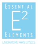 essential-elements-paris-elysees