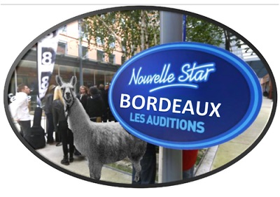 Bordeaux nouvelle star