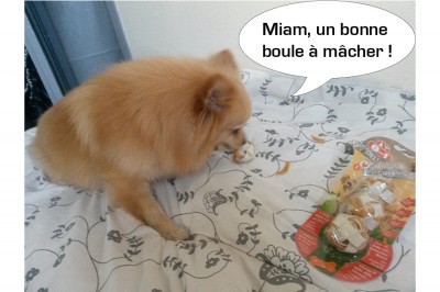 heaven doggy box 4