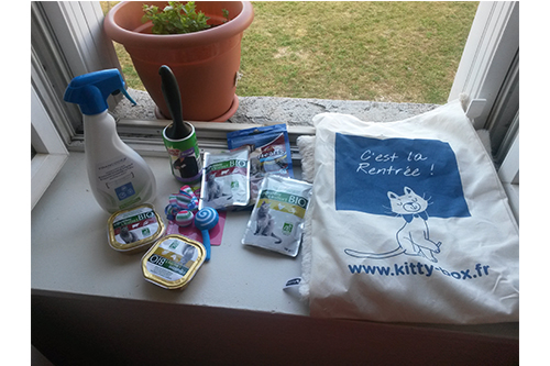 kitty box 3