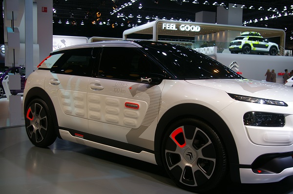 C4 cactus Airflow