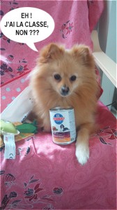 HEAVEN 5 DOGGY BOX