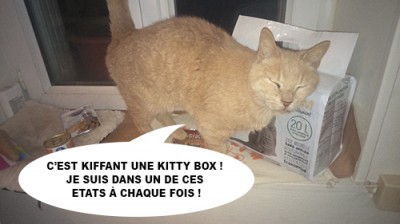 caramel kitty box 3