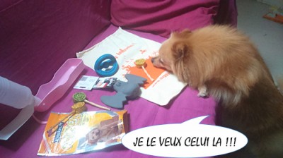 heaven doggy box 3