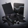 Dare-Me-Pleasure-Set-2