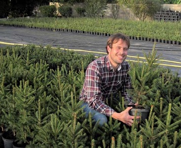 my-little-sapin-pierre-naudet