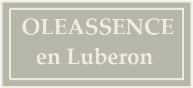 LOGO-OLEASSENC378-172