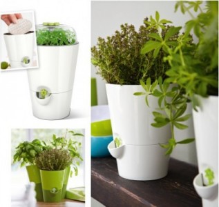 Pots