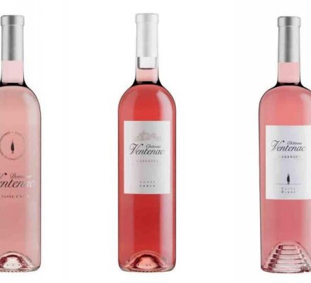 Rose domaine de Ventenac