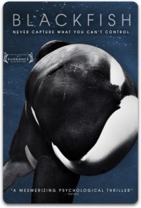 blackfish 2