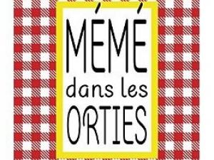Mémé dans les Orties Aurélie VALOGNES