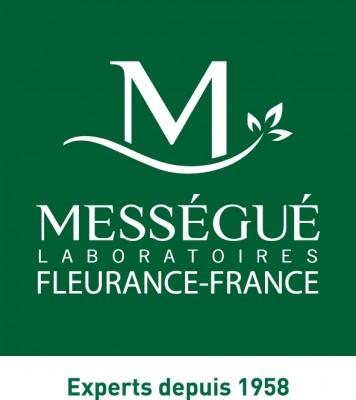 nouveau-logo de com messegue 2013