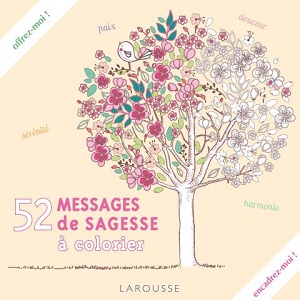 52-messages-sagesse-larousse