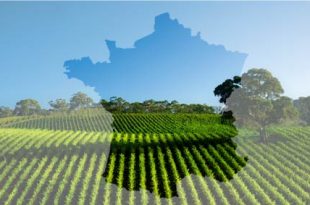 Agriculture française