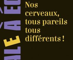 nos_cerveaux_tous_pareils_tous_differents